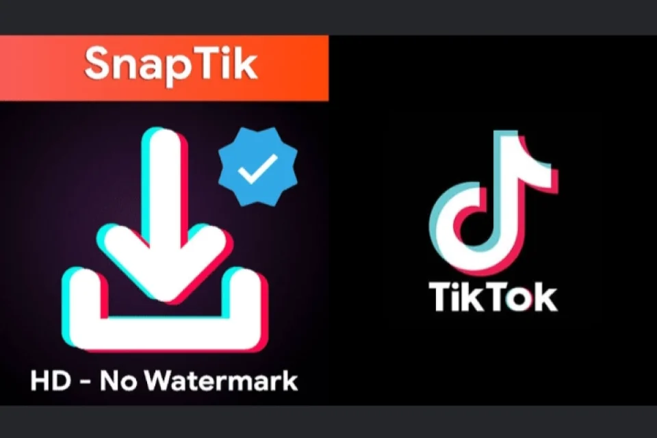 Snaptik Memudahkan Akses Konten TikTok Secara Offline